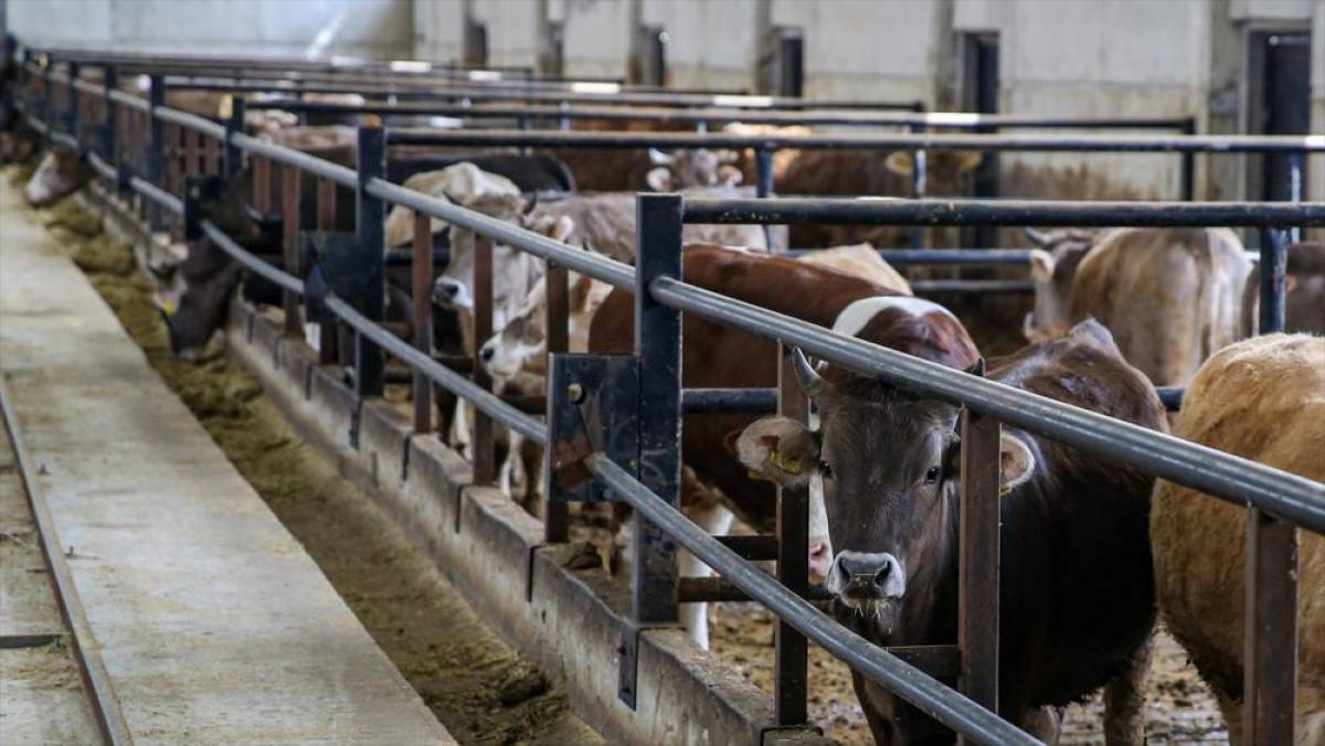 IPARD-III kapsamında 218 projeye 2,5 milyar lira hibe verilecek