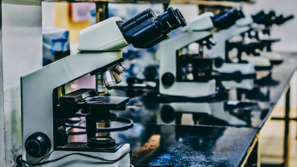 Türk ve Avrupalı araştırmacılar, hastalara yönelik kişiselleştirilmiş tedavileri birlikte geliştirecek