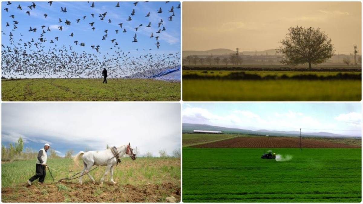 Deprem b&ouml;lgesindeki kırsal kalkınma yatırımlarına 1,6 milyar lira harcandı