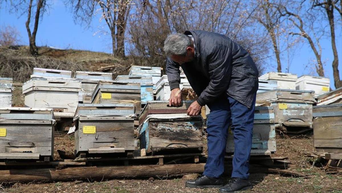 Diyarbakır'da depremzede &uuml;reticiler devlet desteğiyle hayvan sayısını artırdı