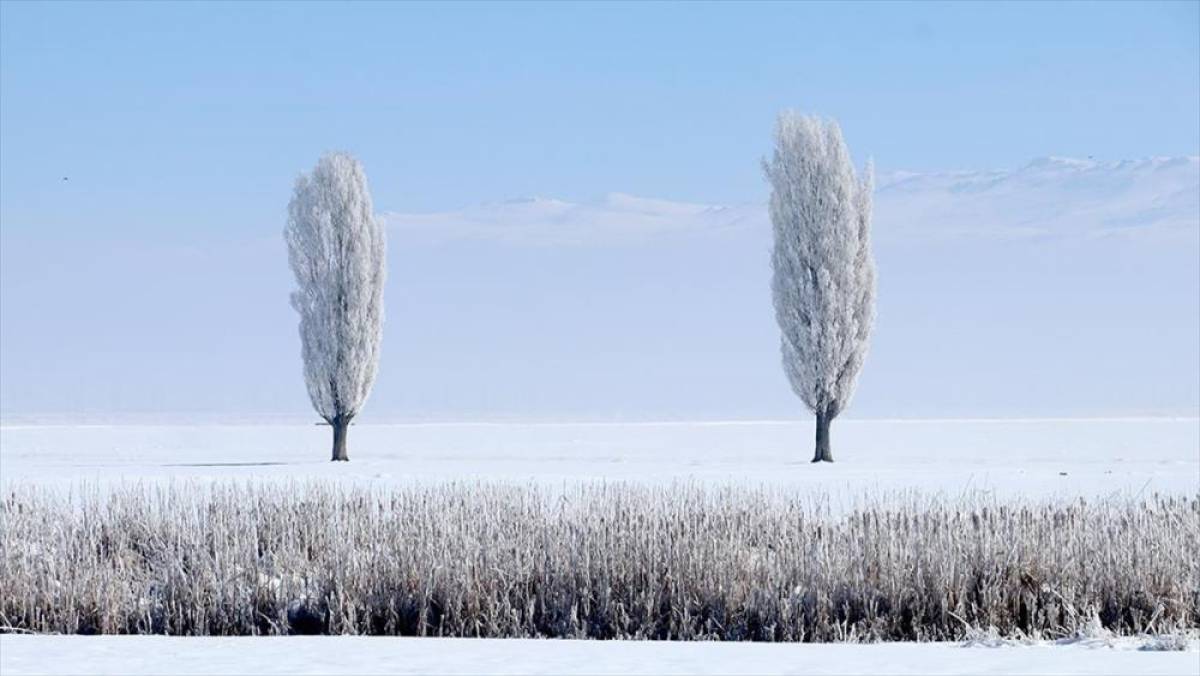 Erzurum, Kars, Tunceli ve Ardahan'da kar yerini soğuk havaya bıraktı