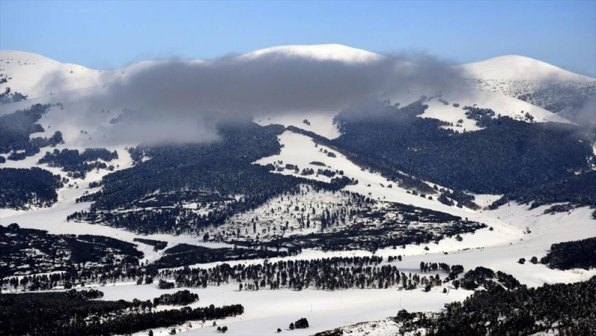Kars'ta beyaza b&uuml;r&uuml;nen sarı&ccedil;am ormanları dronla g&ouml;r&uuml;nt&uuml;lendi