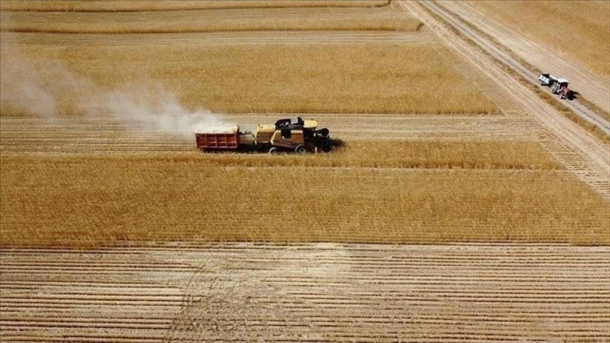 Bakan Yumaklı, 165 milyon 522 bin lira tarımsal destek &ouml;demesinin bug&uuml;n yapılacağını bildirdi