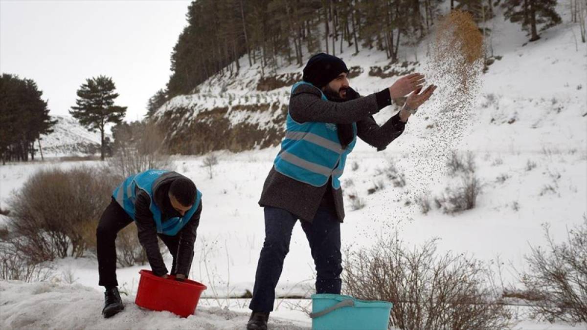 İmamlar zorlu kış şartlarında yiyecek bulamayan yaban hayvanlarına yem taşıyor