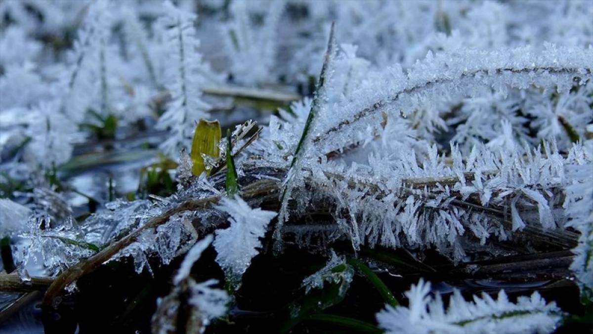 Kars'ta soğuk hava etkili oluyor