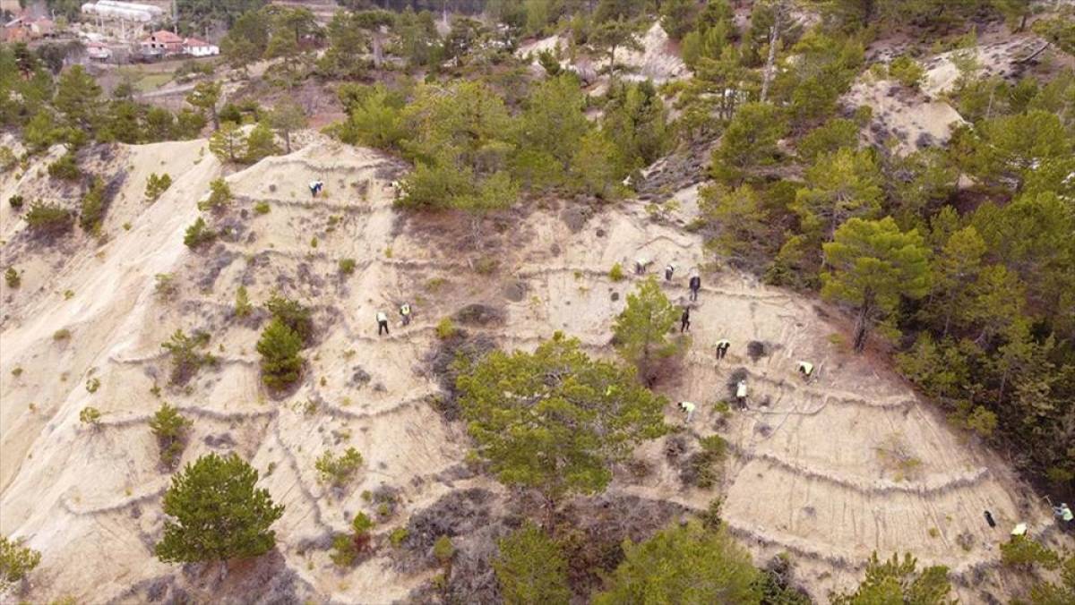 Orman işçileri erozyona karşı da sahada