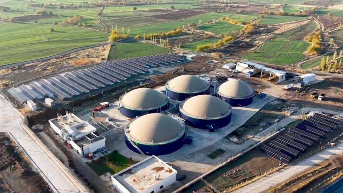 Elazığ'a kurulacak Cevizdere Besi Organize Tarım Bölgesi'nin altyapı çalışmaları tamamlandı