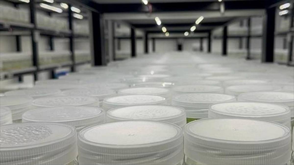 ABD'de "yasa dışı biyolojik laboratuvar" işletildiği ş&uuml;phesiyle İsrail vatandaşı 1 kişi g&ouml;zaltına alındı