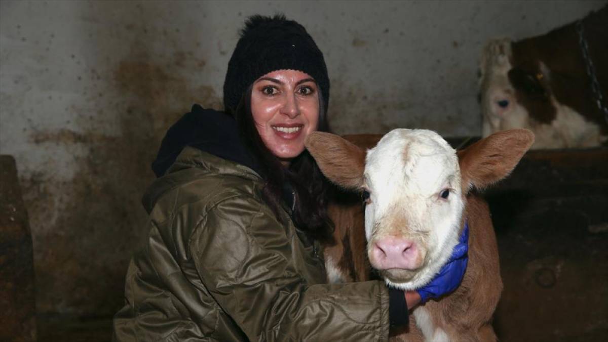 Devlet desteğiyle besi &ccedil;iftliği kuran girişimci kadın hayvan sayısını artırmayı hedefliyor