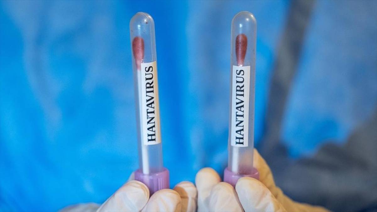 ABD, hantavir&uuml;s vakası g&ouml;r&uuml;len gemiden vatandaşlarının tahliyesi i&ccedil;in u&ccedil;ak g&ouml;nderecek