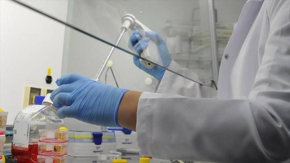 İla&ccedil; sekt&ouml;r&uuml;ne y&ouml;nelik Rekabet Kurulunca hazırlanan inceleme raporu yayımlandı