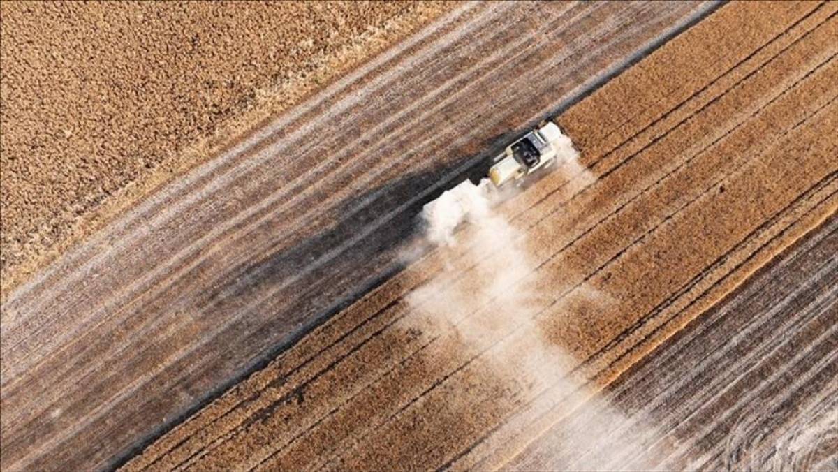 Tarım sezonunun ilk 4 ayında yağışlar ge&ccedil;en yıla g&ouml;re y&uuml;zde 38 arttı