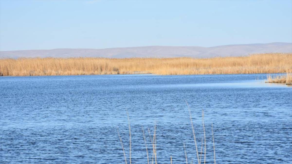 Sıfır Atık Vakfı, Eber G&ouml;l&uuml; i&ccedil;in hazırlanacak eylem planına katkı sağlayacak