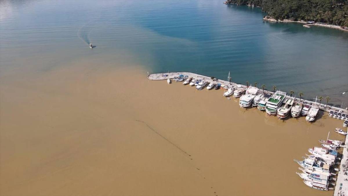 Muğla'da G&ouml;kova K&ouml;rfezi'nin rengi değişti