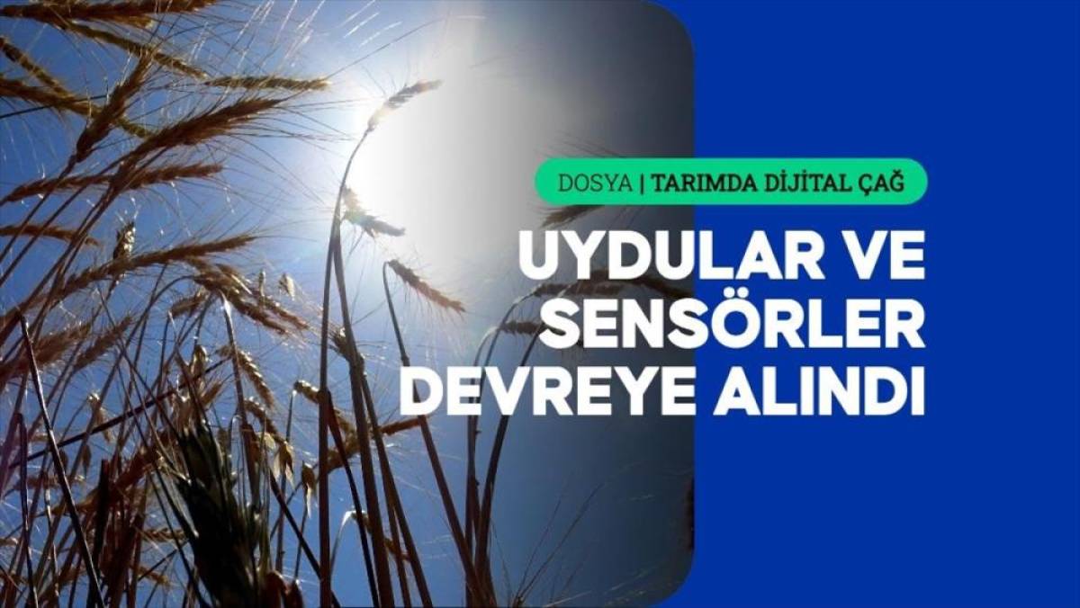 AB'de tarımsal faaliyetler, akıllı tarım ve dijital teknolojilerle yeniden şekilleniyor