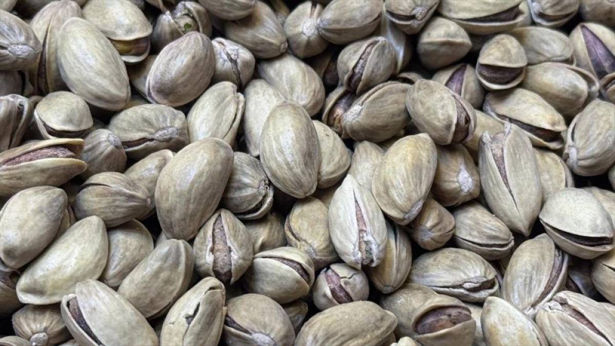 T&uuml;rkiye'den ge&ccedil;en yıl 178 milyon dolarlık Antep fıstığı ihra&ccedil; edildi