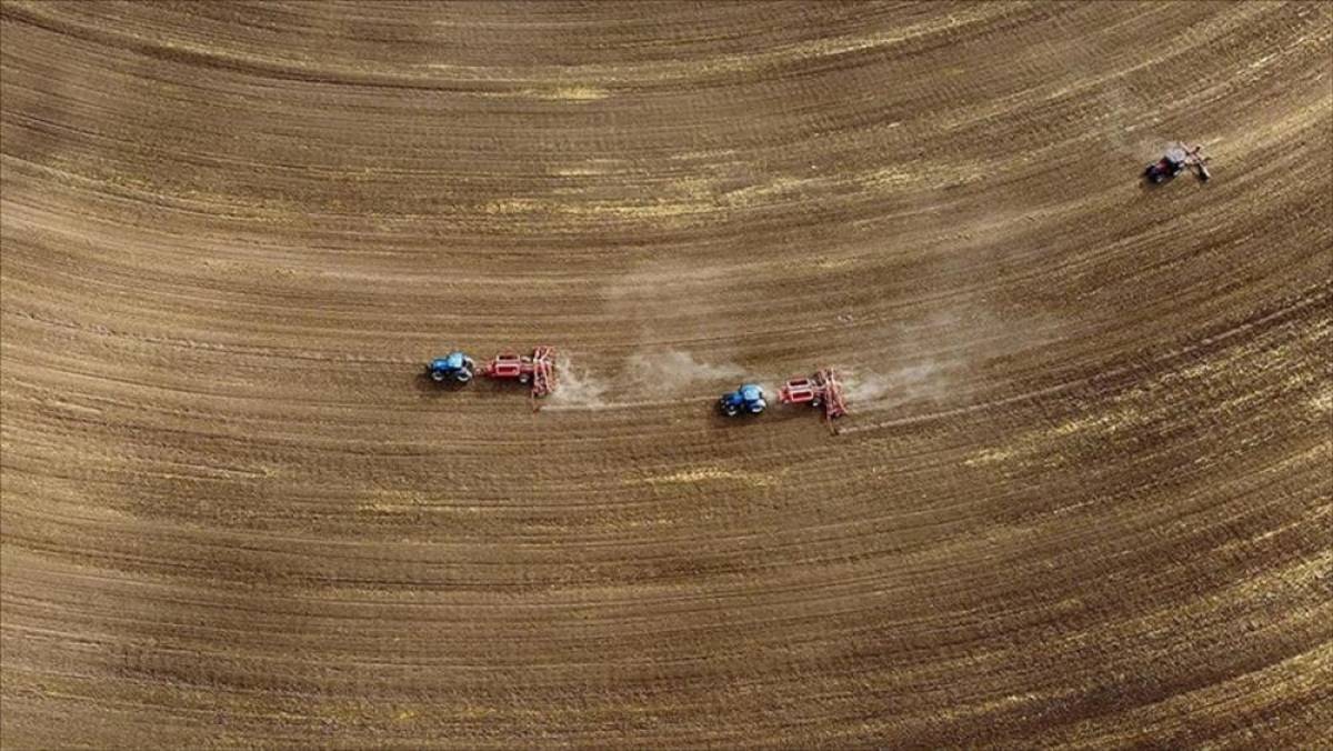 T&uuml;rkiye genelindeki tarım sayımında sona yaklaşıldı