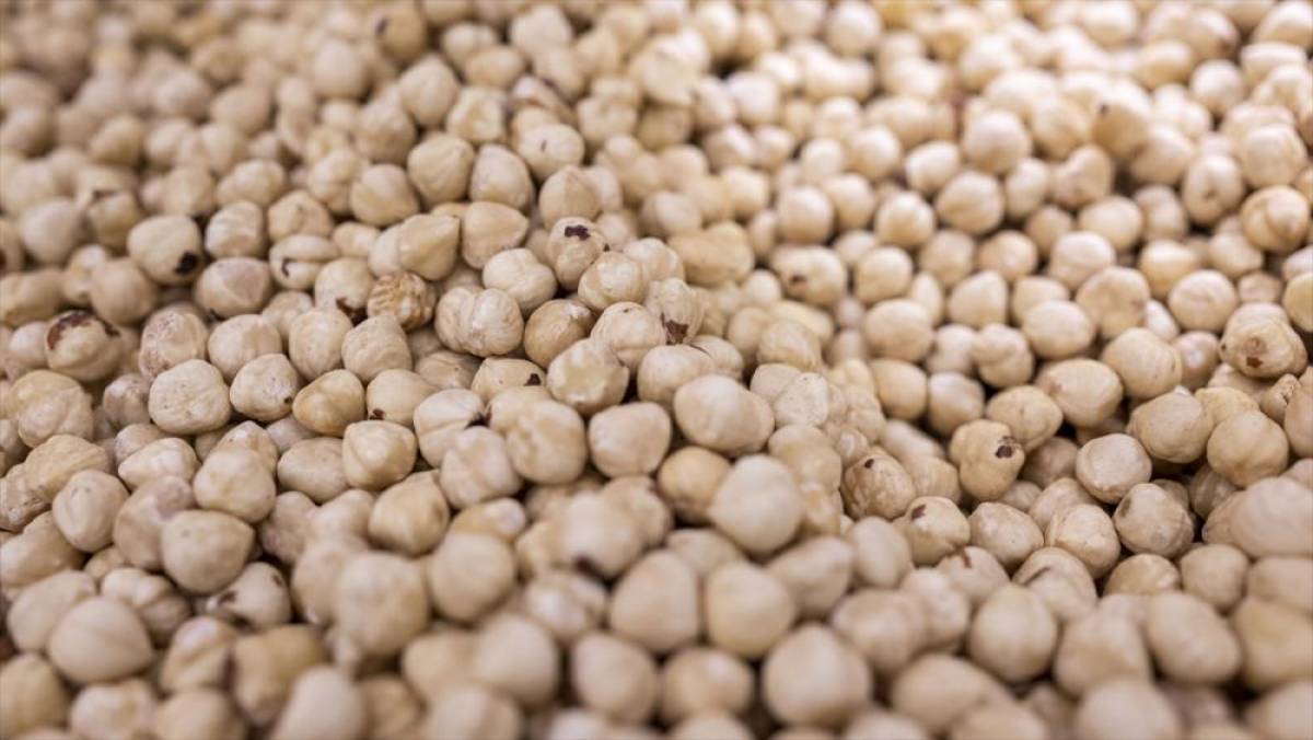 Doğu Karadeniz'den yılın ilk &ccedil;eyreğinde 379 milyon dolarlık fındık ihracatı