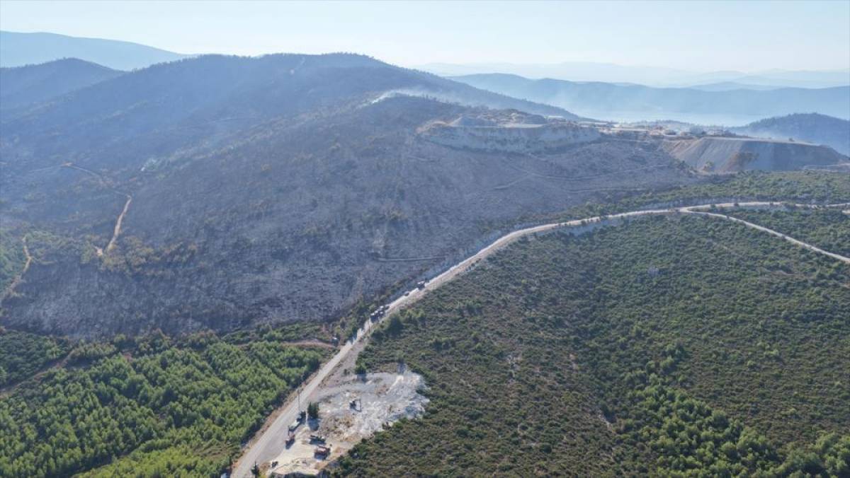 Manisa ve Muğla'daki orman yangınları kontrol altında