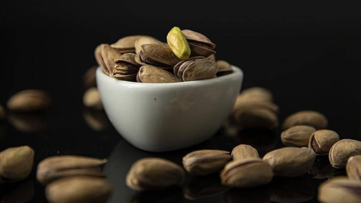 Antep fıstığında kalite ve g&uuml;venlik kriterleri TSE standardı ile belirleniyor