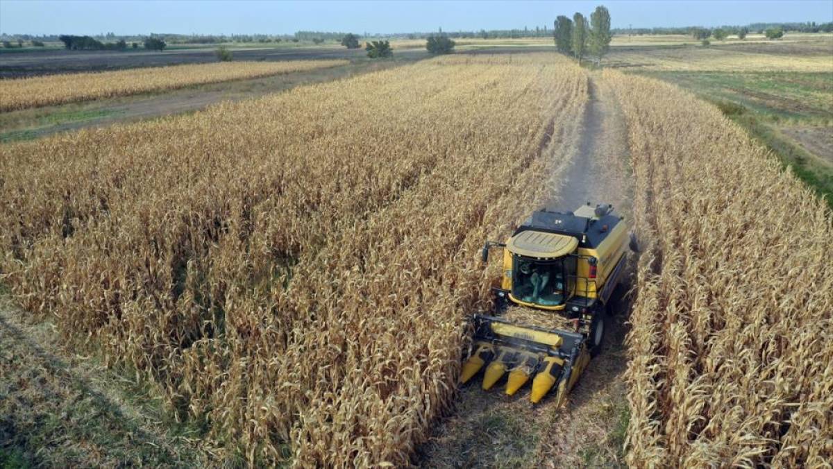 Hububat &uuml;retiminde g&ouml;zler bahar yağışları ve sıcaklıklara &ccedil;evrildi