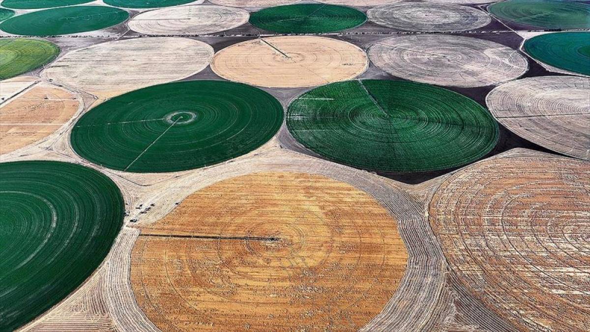 Lisanslı depoculukla bazı tarım &uuml;r&uuml;nlerinin azami depolama s&uuml;releri uzatıldı