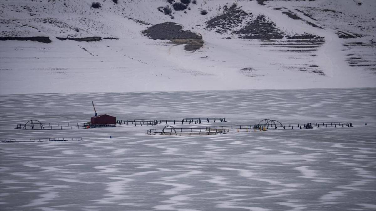Erzurum'daki Demird&ouml;ven Barajı'nın y&uuml;zeyi buz tuttu
