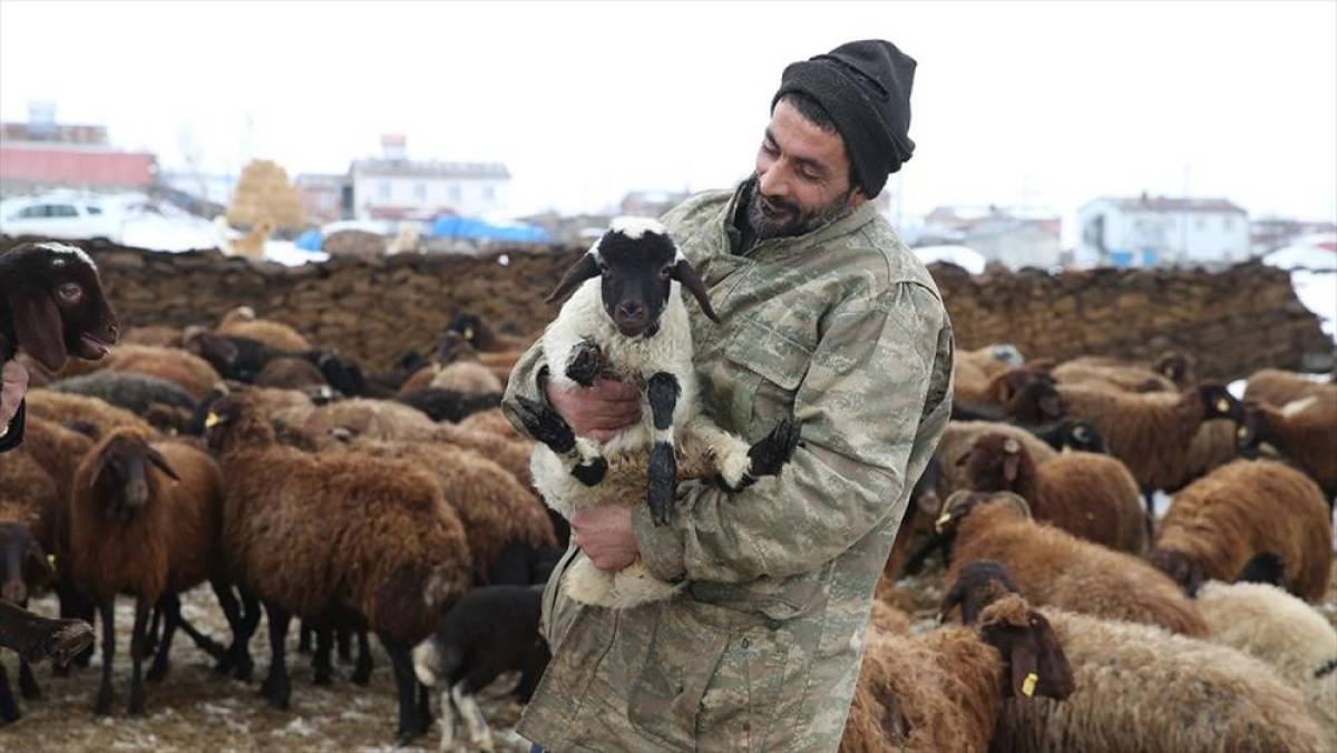 İzmir'de pastane işletirken Kars'taki k&ouml;y&uuml;ne d&ouml;nen gurbet&ccedil;i, devlet desteğiyle s&uuml;r&uuml; sahibi oldu