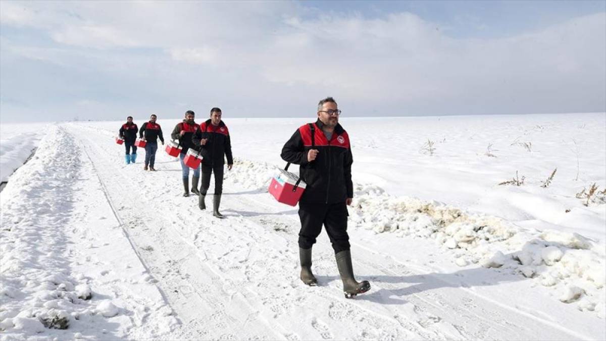 Muş'ta veteriner hekimler hayvanların sağlığı i&ccedil;in karlı yolları aşıyor