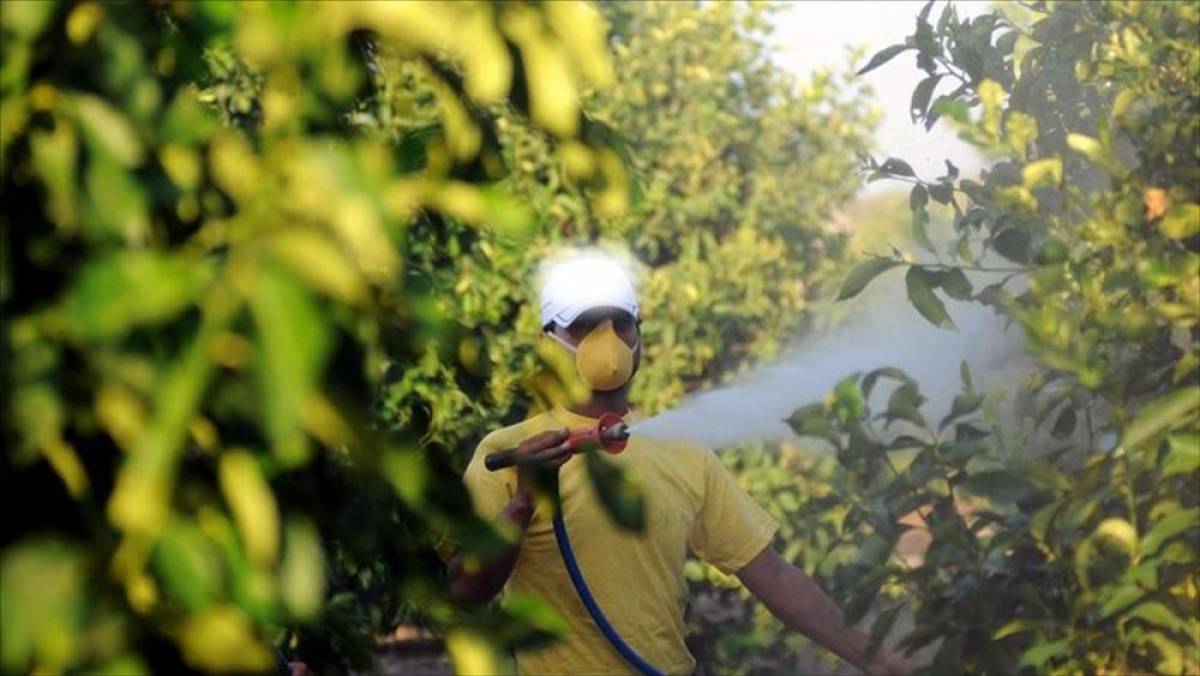 5 soruda tarımda "B-Re&ccedil;ete" uygulaması