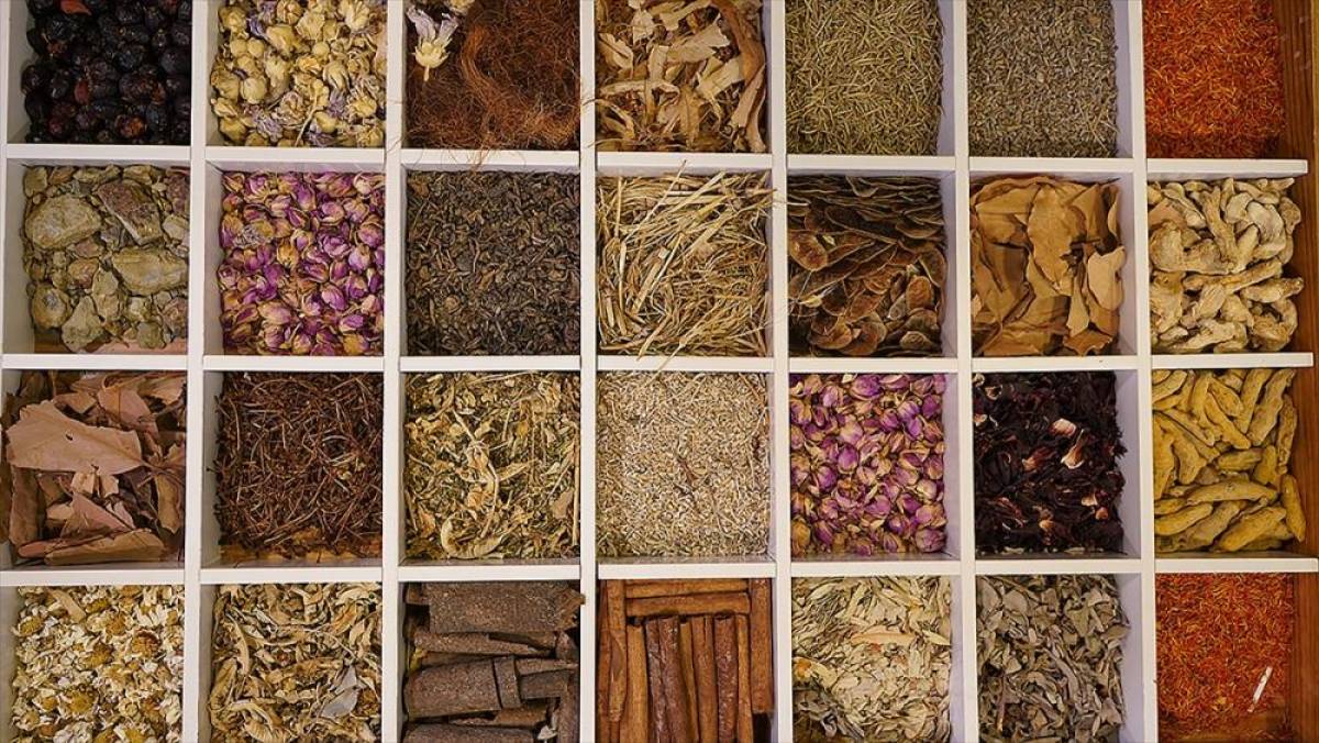 G&uuml;neydoğu'dan 7 ayda 2,2 milyar dolarlık hububat ihracatı
