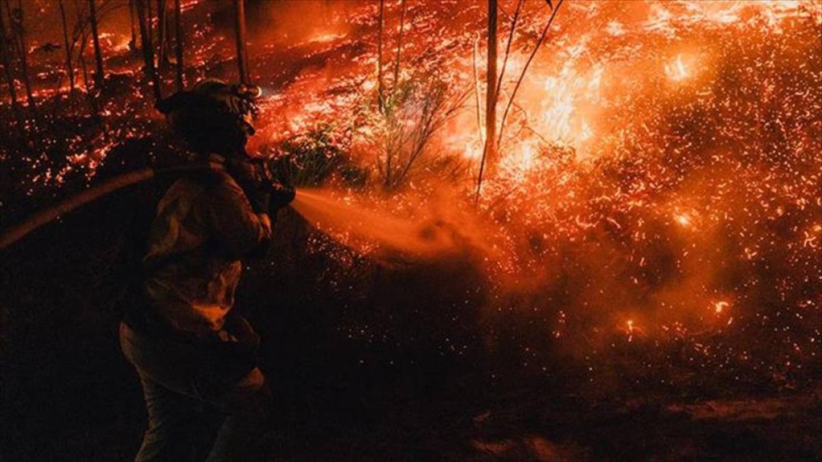 İspanya'da bu yıl 350 bin hektardan fazla ormanlık alan yandı