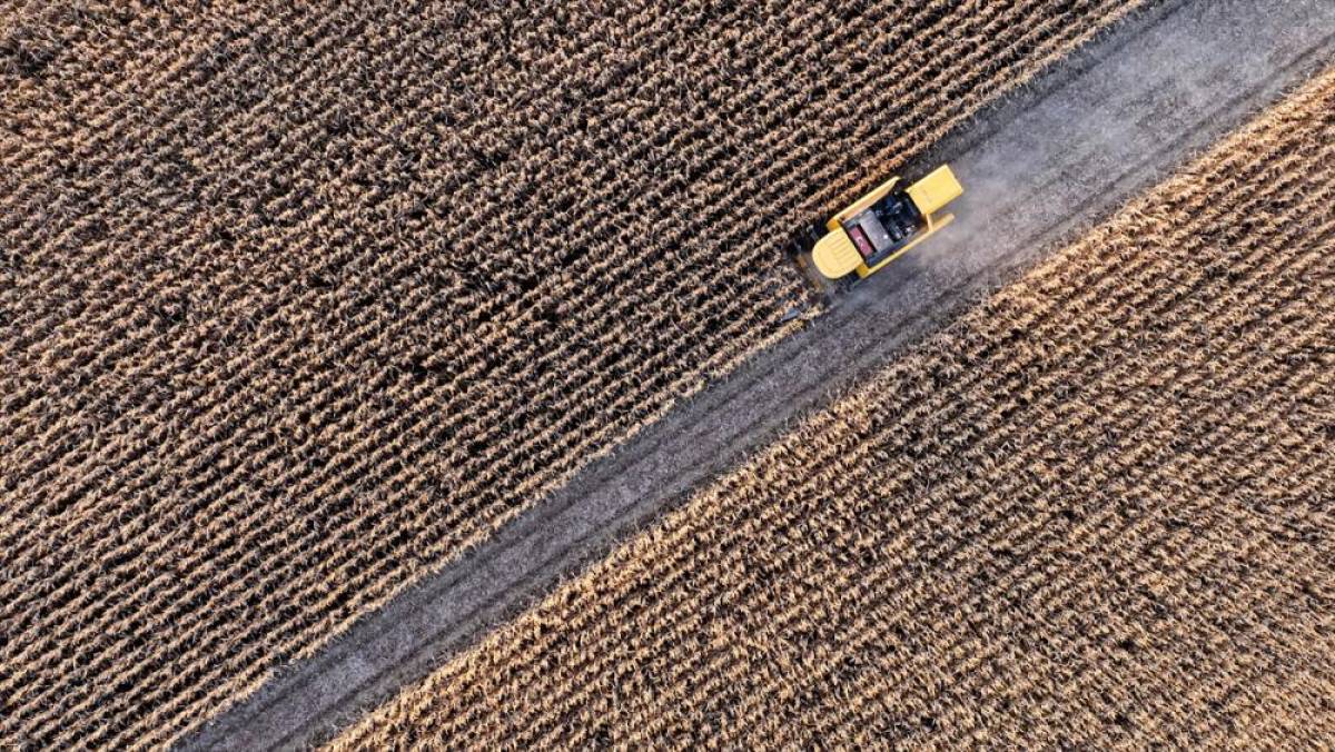 Tarımsal girdi fiyat endeksi Kasım 2025'te aylık y&uuml;zde 1,84, yıllık y&uuml;zde 34,24 arttı