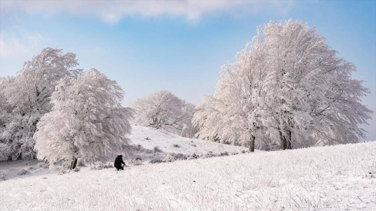 Istranca Ormanları karla kaplanınca ortaya kartpostallık g&ouml;r&uuml;nt&uuml;ler &ccedil;ıktı