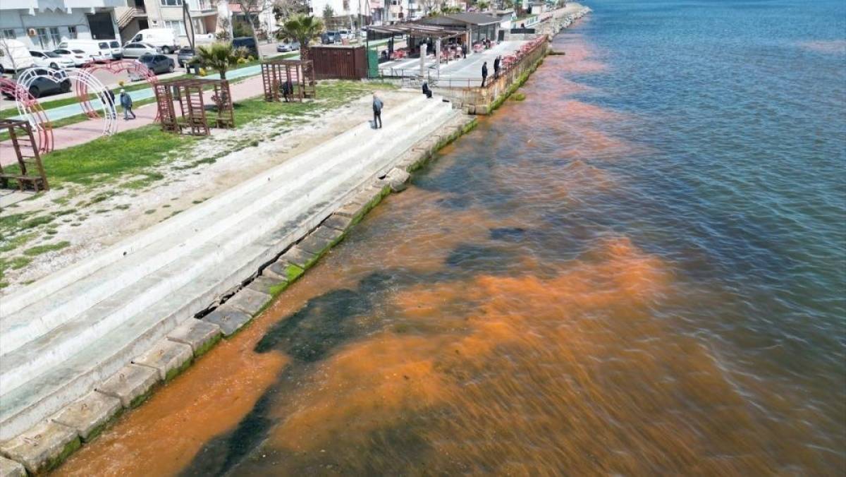 Tekirdağ'da planktonların &ccedil;oğalması sonucu denizin rengi yer yer değişti