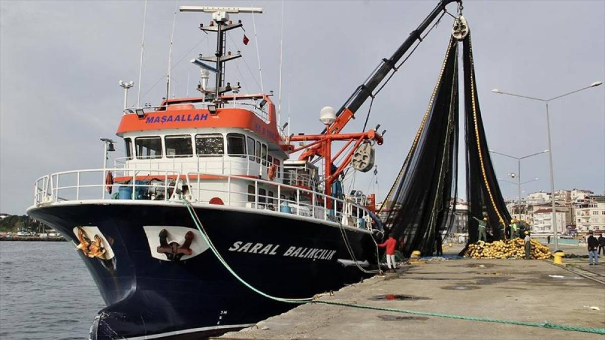 Sinoplu balıkçılar hamsinin göç etmesi nedeniyle teknelerini barınağa çekti