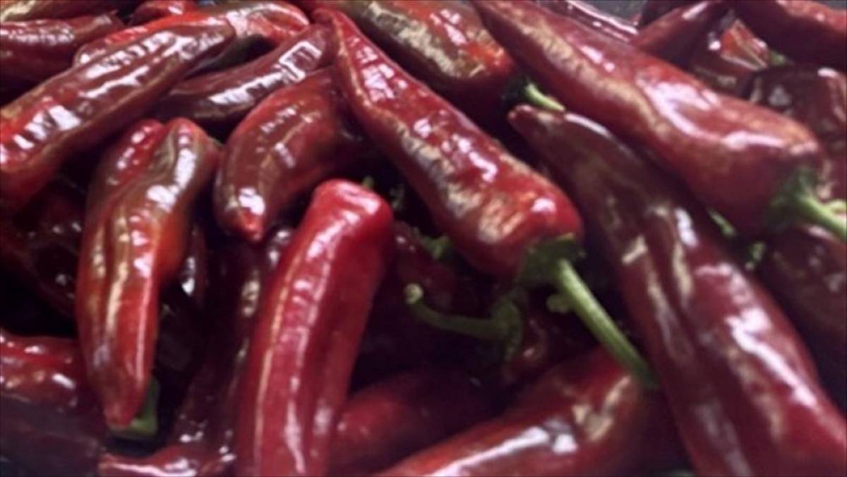 T&uuml;rkiye'nin biber ihracatının y&uuml;zde 74'&uuml; Batı Akdeniz'den