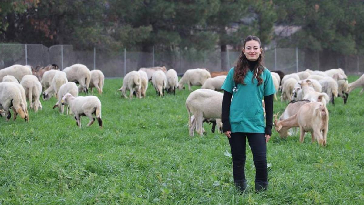 Devlet desteğiyle besiciliğe başlayan veteriner, babasının emanetine de sahip &ccedil;ıkıyor