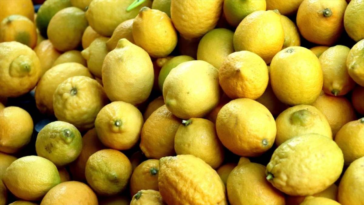 T&uuml;rkiye yılın ilk &ccedil;eyreğinde en fazla mandalinayı Irak'a, limonu Rusya'ya sattı
