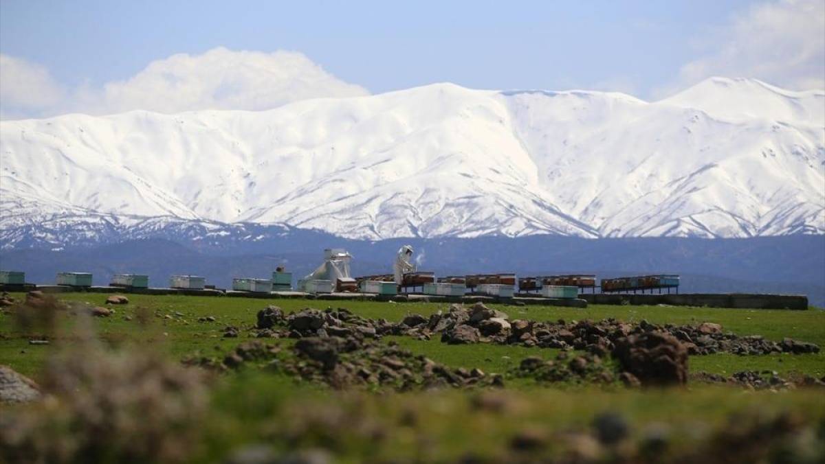 Bing&ouml;l'&uuml;n kuzeyinde kış, g&uuml;neyinde bahar yaşanıyor