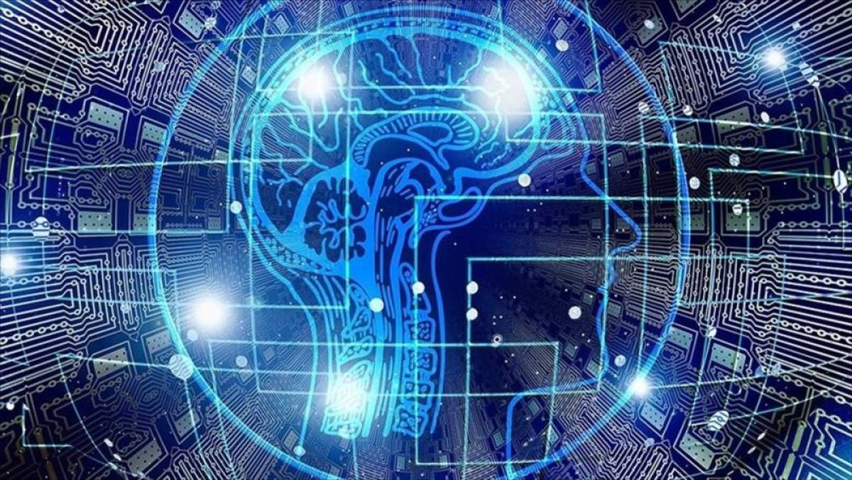 "Biyohibrit Robot" projesi i&ccedil;in d&uuml;ğmeye basıldı