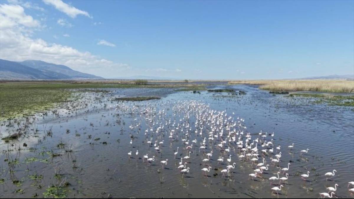 Kuraklık riski altındaki Eber G&ouml;l&uuml;'n&uuml;n su seviyesi &uuml;&ccedil; kat arttı