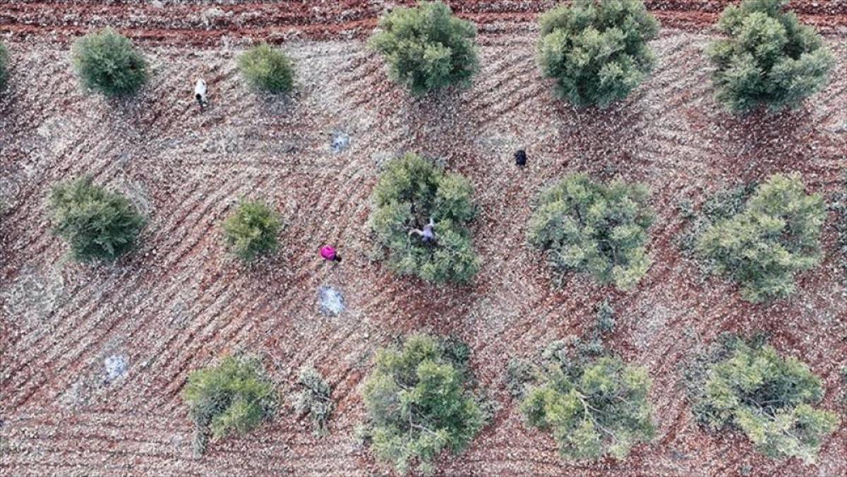 G&uuml;neydoğu'daki 9 ilin &uuml;retim &ccedil;eşitliliğini artıracak yatırımlar teşviklerle ivme kazanacak