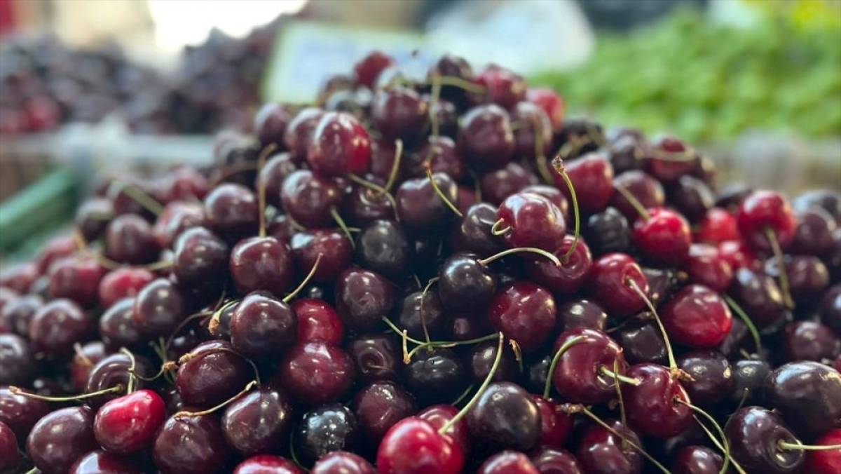 T&uuml;rkiye'nin yaş meyve ihracatı, 7 aylık d&ouml;nemde ilk kez 1 milyar dolar bandını aştı
