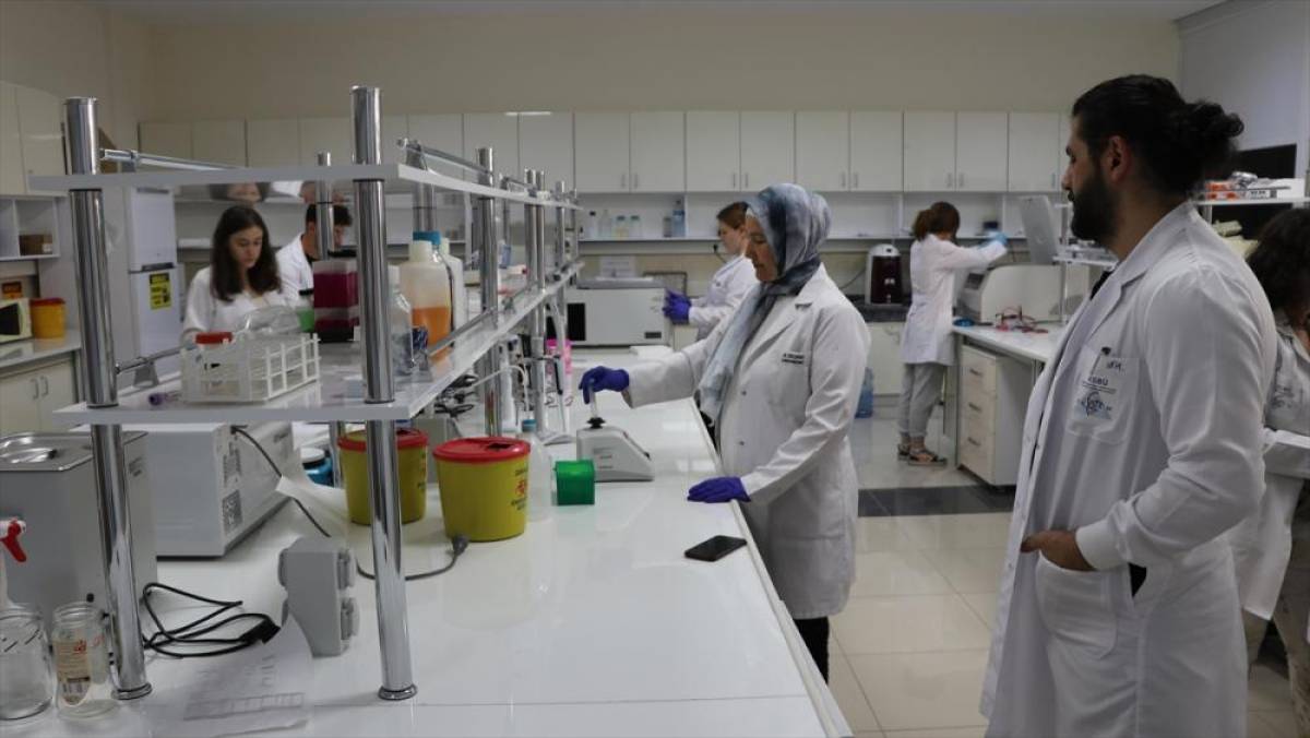 Akademisyenlerin geliştirdiği bor i&ccedil;erikli bileşenin kanser h&uuml;crelerine etkisine y&ouml;nelik &ccedil;alışmalar tamamlandı