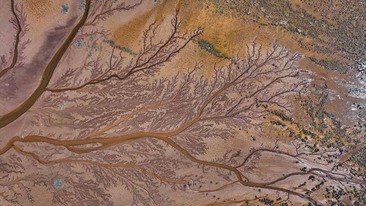 Tuzla Palas G&ouml;l&uuml;'n&uuml; besleyen suların oluşturduğu izler ağa&ccedil; dallarını andırıyor