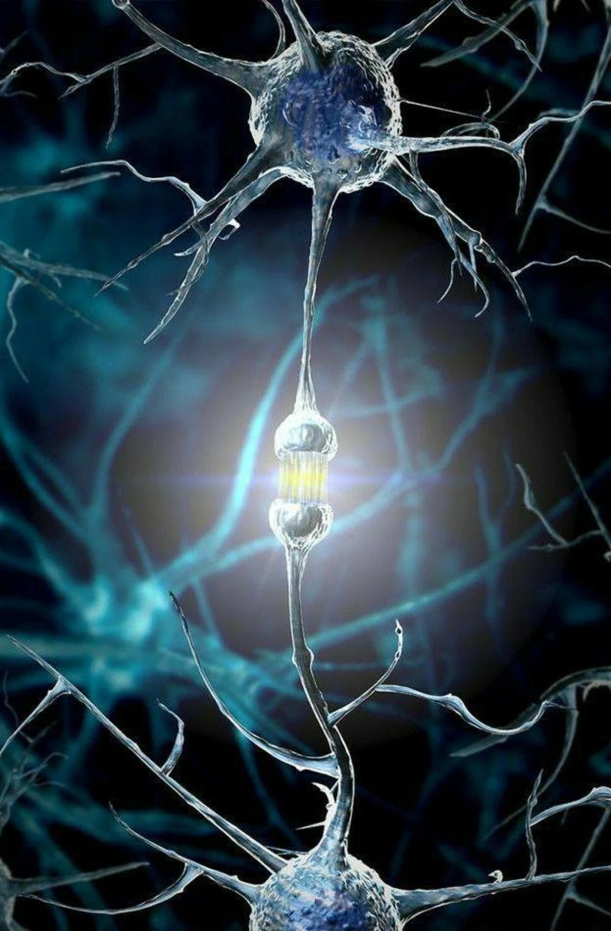 Ama&ccedil;sızlığın Sinir-Bilimi