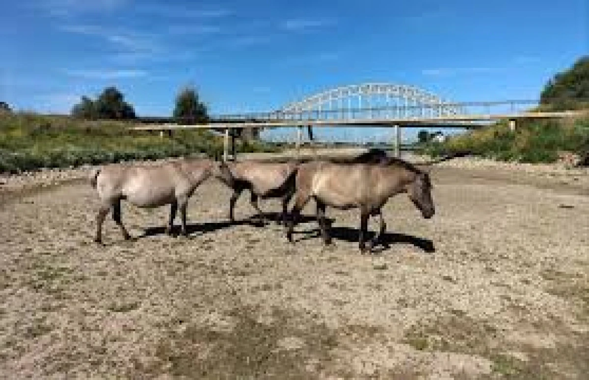 Avrupa&rsquo;da iklim krizi gıda, sağlık ve ekonomiyi tehdit ediyor