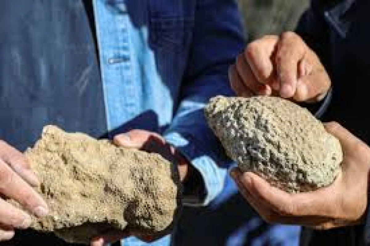 Bingöl'de 50 milyon yıllık deniz canlısı fosilleri bulundu