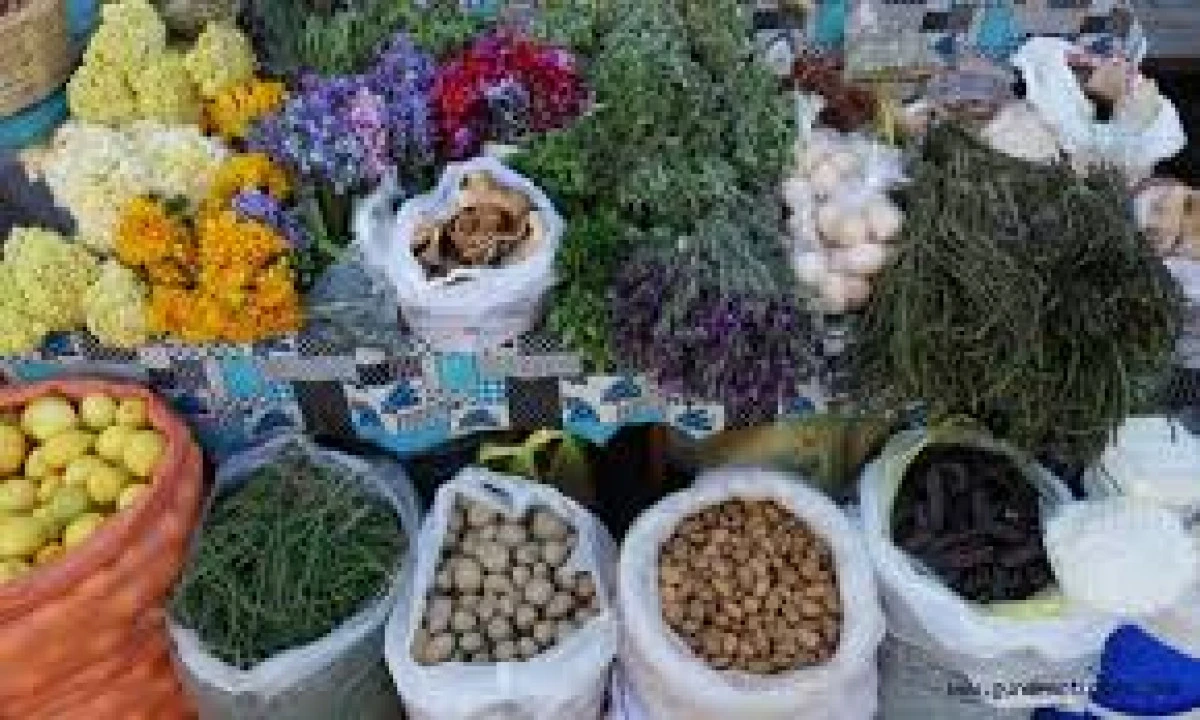 Bodrum'da 7&rsquo;inci Acı Ot Festivali